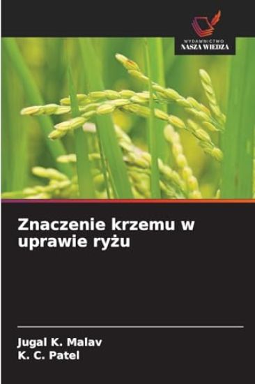 Znaczenie krzemu w uprawie ryzu