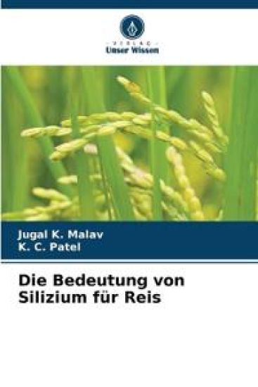Die Bedeutung von Silizium für Reis