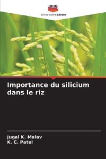 Importance du silicium dans le riz