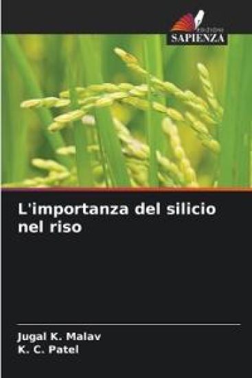 L'importanza del silicio nel riso