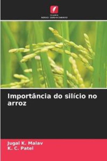 Importância do silício no arroz