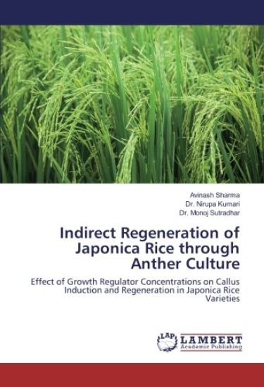 Indirect Regeneration of Japonica Rice through Anther Culture
