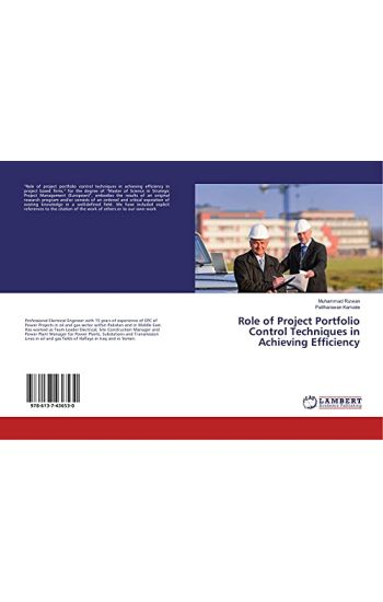 Role of Project Portfolio Control Techniques in Achieving Efficiency