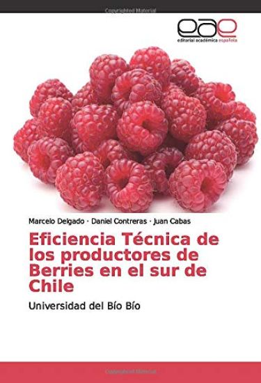 Eficiencia Técnica de los productores de Berries en el sur de Chile