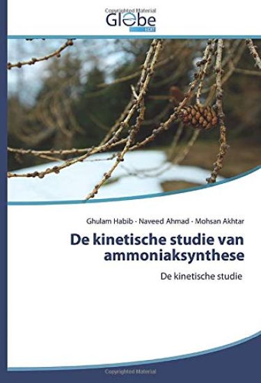 De kinetische studie van ammoniaksynthese