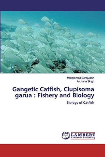 Gangetic Catfish, Clupisoma garua