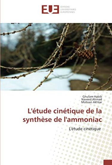 L'étude cinétique de la synthèse de l'ammoniac
