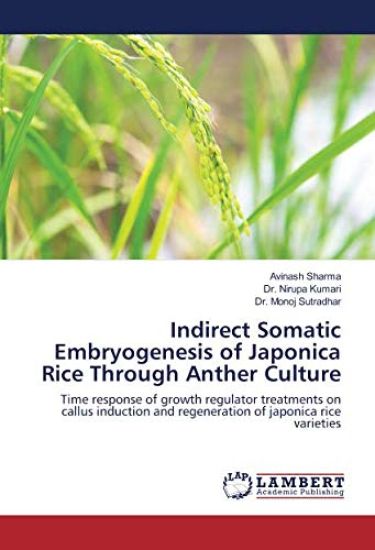 Indirect Somatic Embryogenesis of Japonica Rice Through Anther Culture
