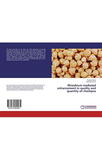 Rhizobium mediated enhancement in quality and quantity of checkpea