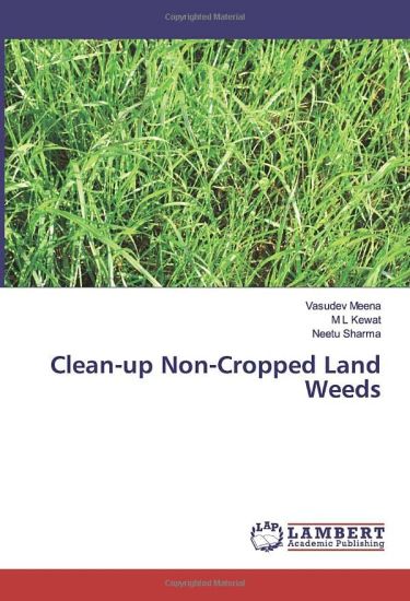 Clean-up Non-Cropped Land Weeds