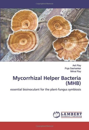Mycorrhizal Helper Bacteria (MHB)