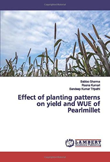 Effect of planting patterns on yield and WUE of Pearlmillet