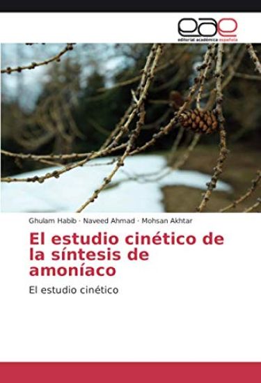 El estudio cinético de la síntesis de amoníaco