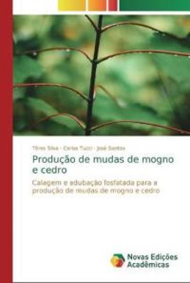 Produção de mudas de mogno e cedro