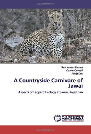 A Countryside Carnivore of Jawai