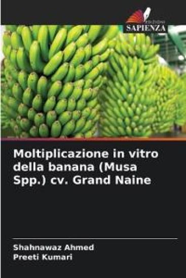 Moltiplicazione in vitro della banana (Musa Spp.) cv. Grand Naine
