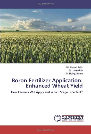 Boron Fertilizer Application: Enhanced Wheat Yield