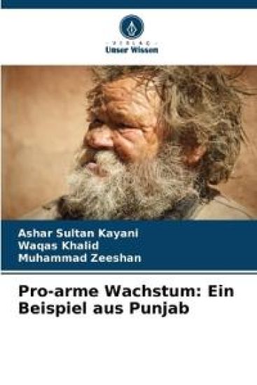 Pro-arme Wachstum: Ein Beispiel aus Punjab