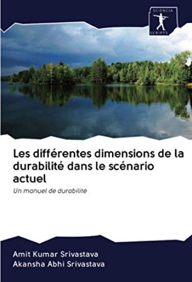 Les différentes dimensions de la durabilité dans le scénario actuel