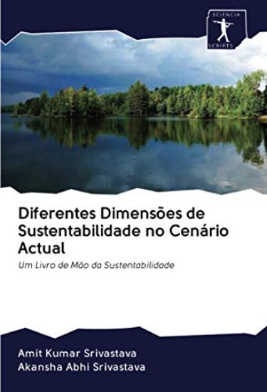 Diferentes Dimensões de Sustentabilidade no Cenário Actual