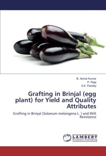 Grafting in Brinjal (egg plant) for Yield and Quality Attributes – B. Ashok Kumar, kirjan kansikuva