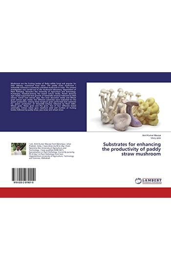 Substrates for enhancing the productivity of paddy straw mushroom