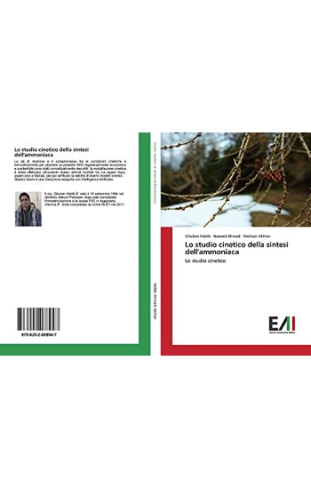 Lo studio cinetico della sintesi dell'ammoniaca