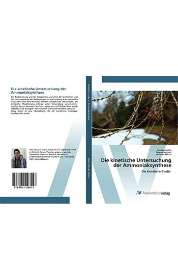 Die kinetische Untersuchung der Ammoniaksynthese