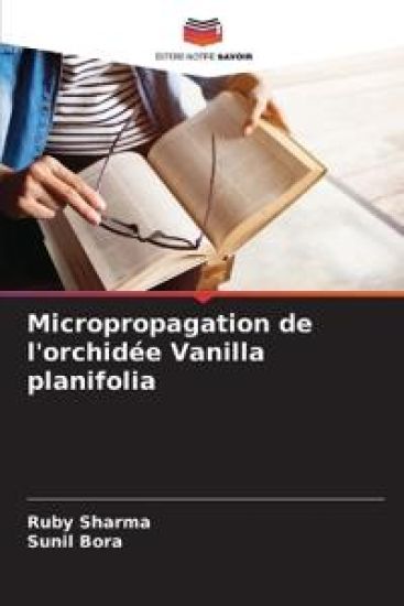 Micropropagation de l'orchidée Vanilla planifolia