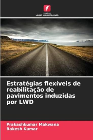 Estratégias flexíveis de reabilitação de pavimentos induzidas por LWD