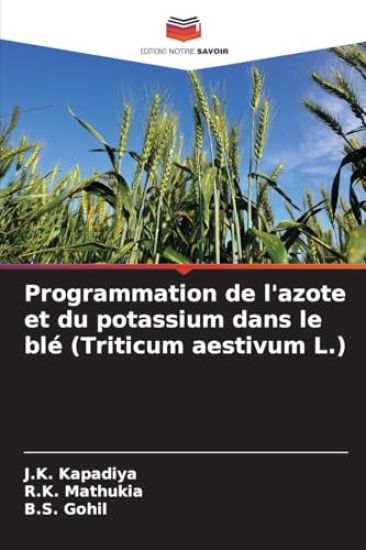 Programmation de l'azote et du potassium dans le blé (Triticum aestivum L.)