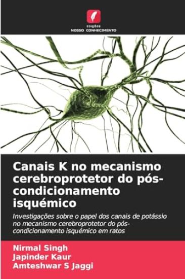 Canais K no mecanismo cerebroprotetor do pós-condicionamento isquémico