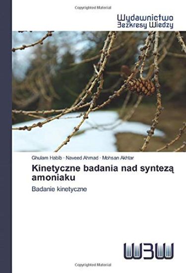 Kinetyczne badania nad syntez¿ amoniaku