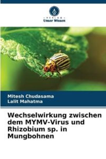 Wechselwirkung zwischen dem MYMV-Virus und Rhizobium sp. in Mungbohnen