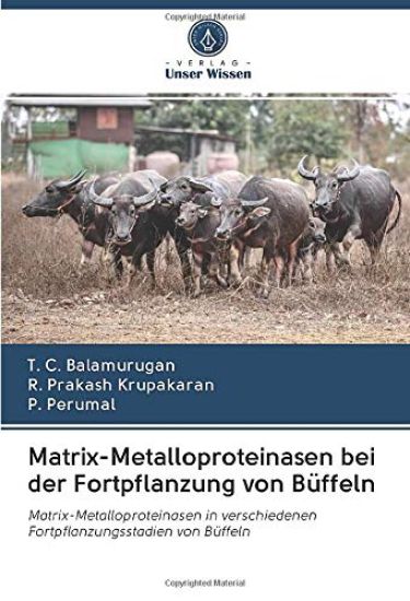 Matrix-Metalloproteinasen bei der Fortpflanzung von Büffeln