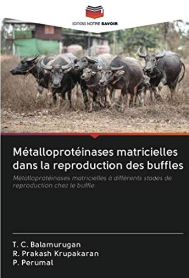 Métalloprotéinases matricielles dans la reproduction des buffles