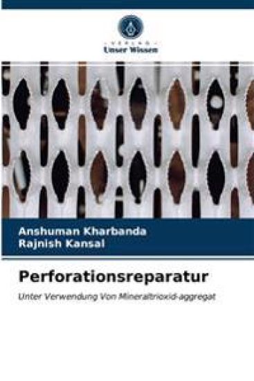 Perforationsreparatur