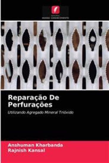 Reparação De Perfurações