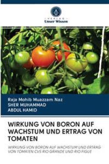 Wirkung Von Boron Auf Wachstum Und Ertrag Von Tomaten