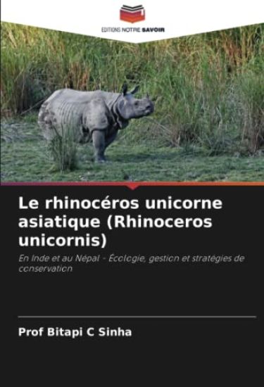 Le rhinocéros unicorne asiatique (Rhinoceros unicornis)