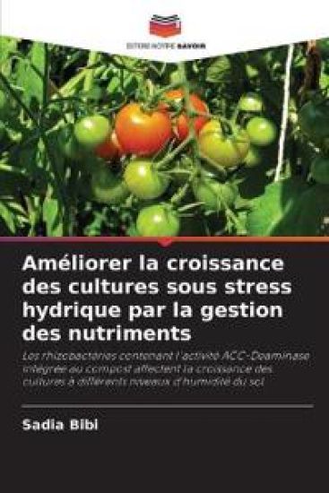 Améliorer la croissance des cultures sous stress hydrique par la gestion des nutriments