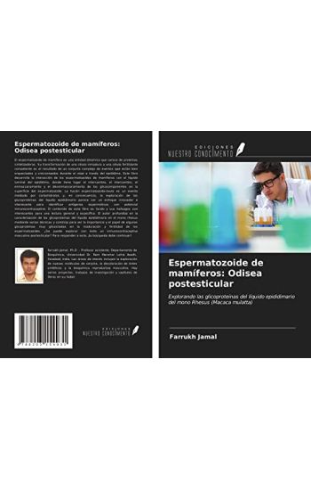 Espermatozoide de mamíferos: Odisea postesticular