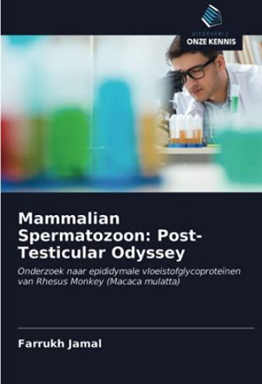 Mammalian Spermatozoon: Post-Testicular Odyssey