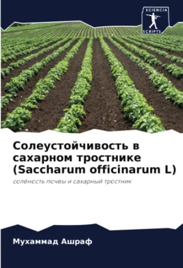 Soleustojchiwost' w saharnom trostnike (Saccharum officinarum L)