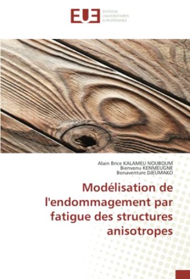 Modélisation de l'endommagement par fatigue des structures anisotropes