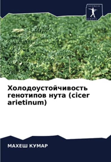 Holodoustojchiwost' genotipow nuta (cicer arietinum)