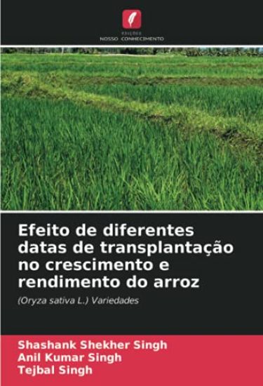Efeito de diferentes datas de transplantação no crescimento e rendimento do arroz