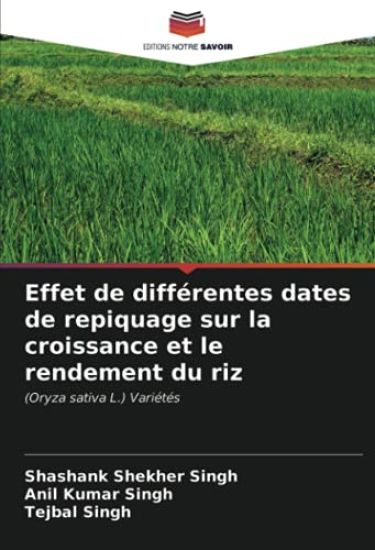 Effet de différentes dates de repiquage sur la croissance et le rendement du riz
