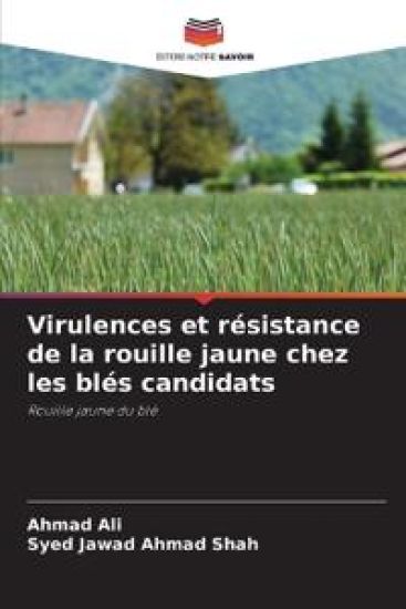 Virulences et résistance de la rouille jaune chez les blés candidats