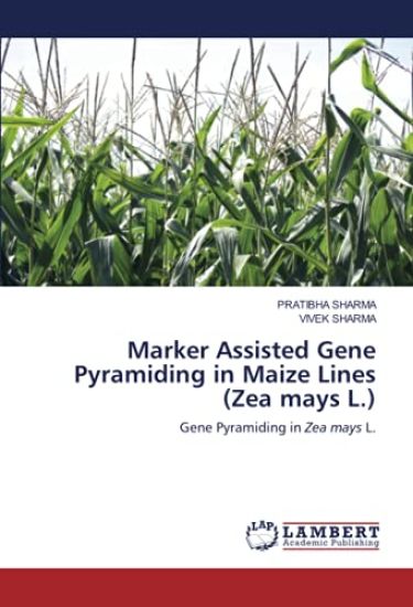 Marker Assisted Gene Pyramiding in Maize Lines (Zea mays L.) – Pratibha Sharma, kirjan kansikuva